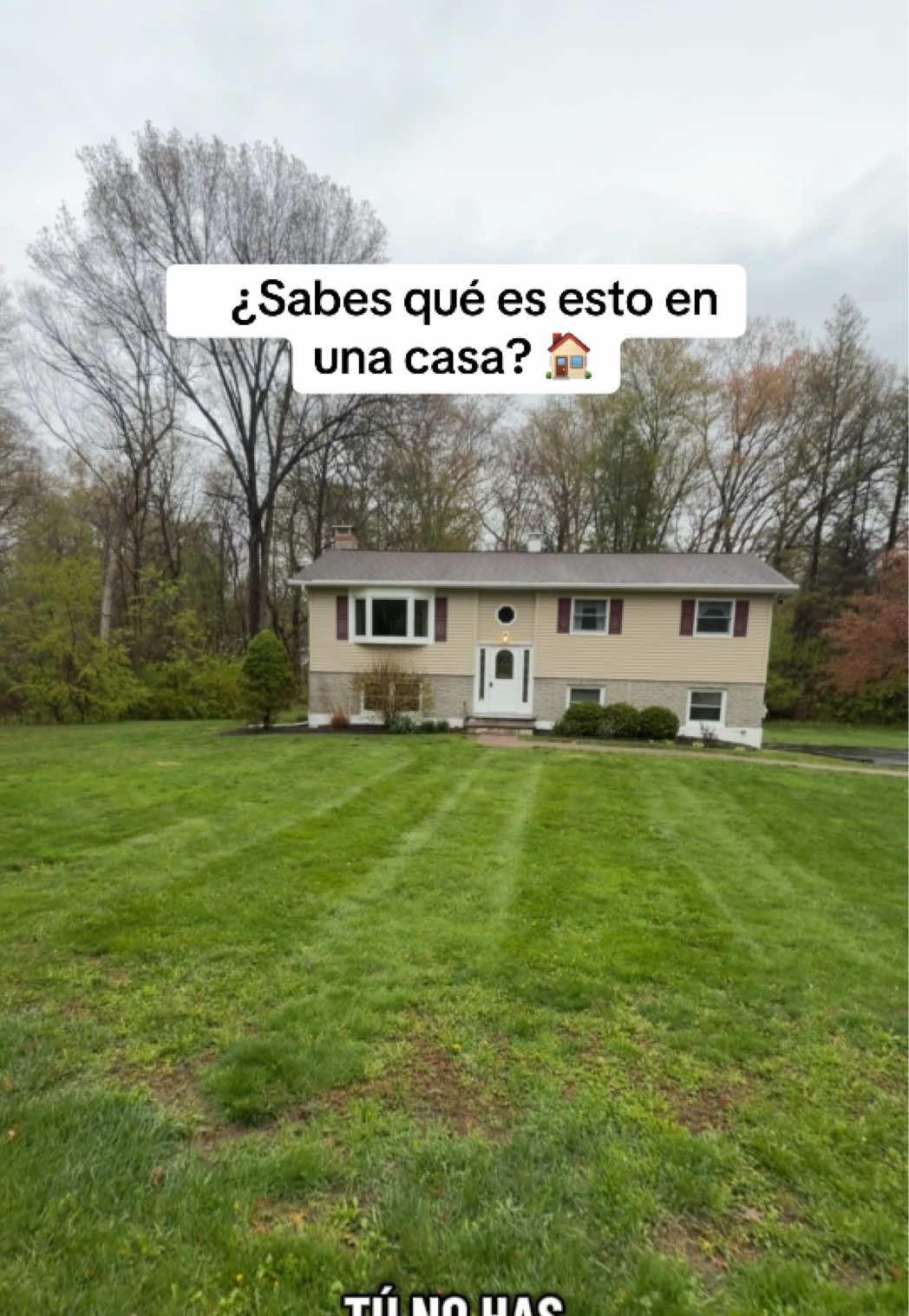 @Dio Espinal