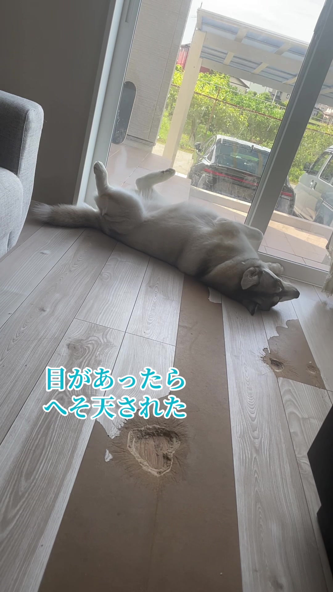 @サン☀️とムーン🌙