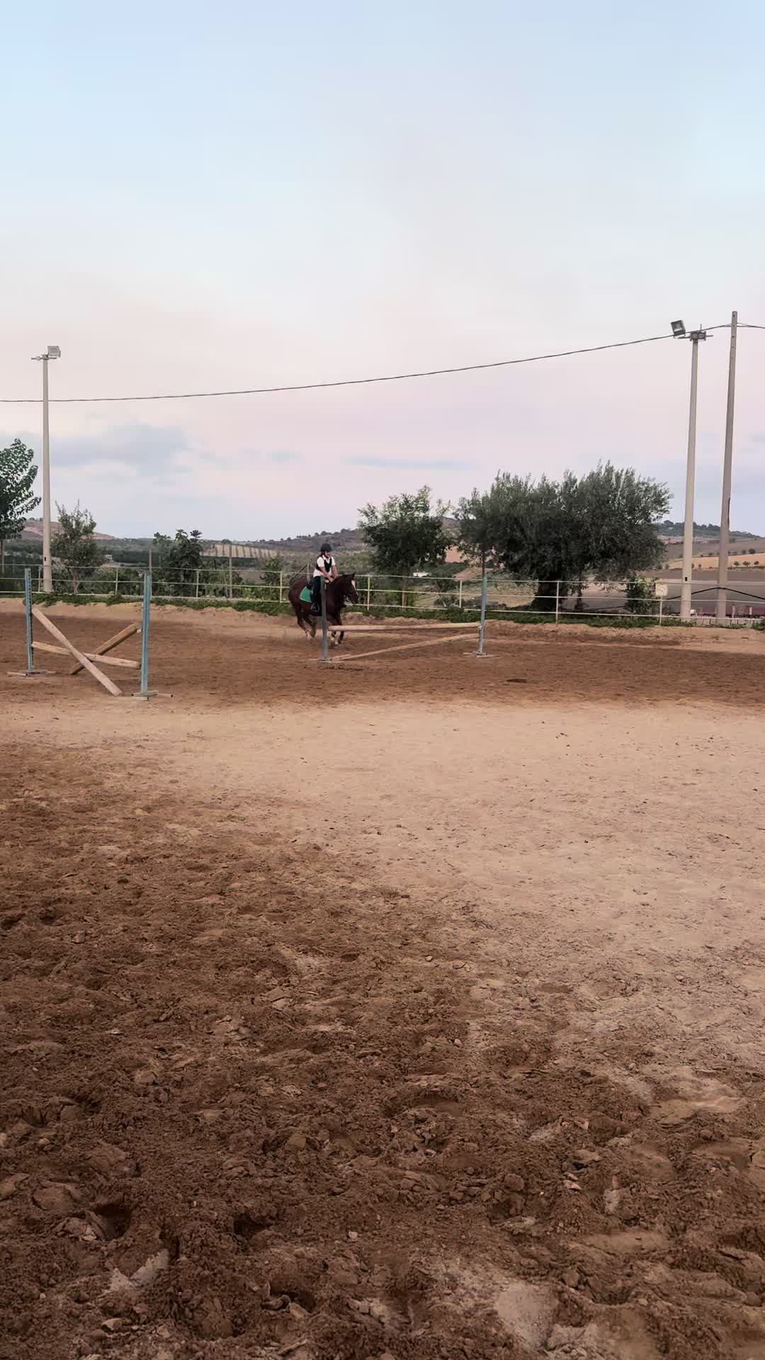 @Aurora Campisi