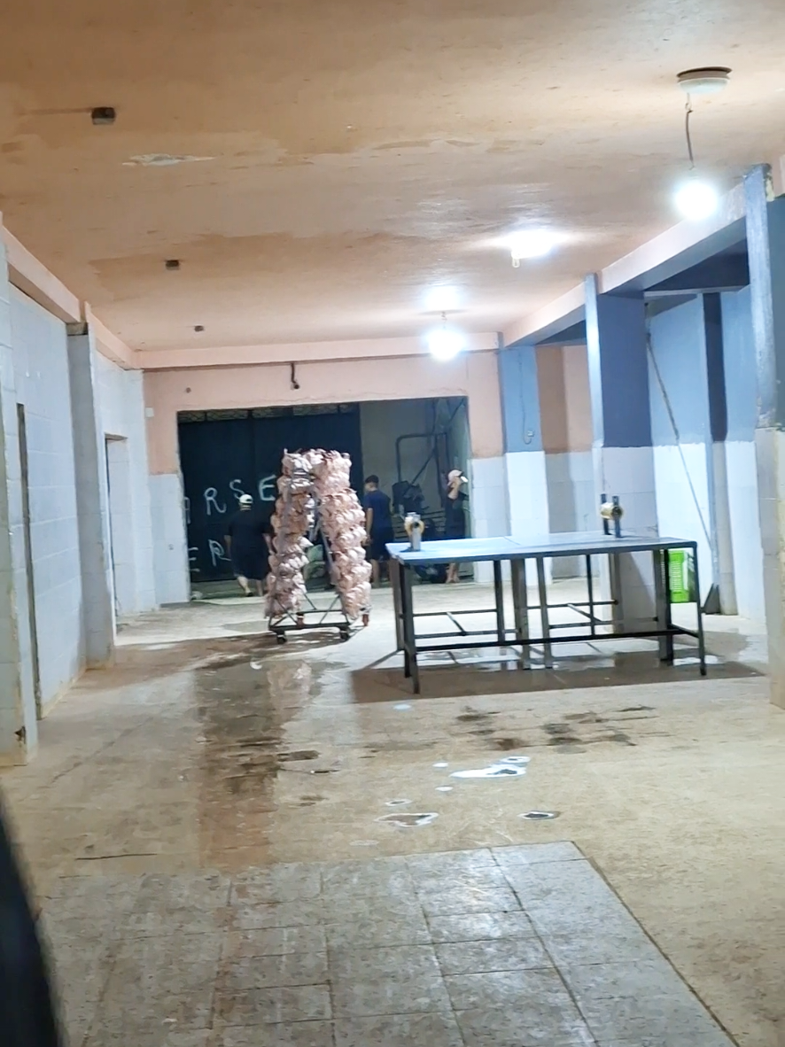 @مُسْـ☪ـلـم | 𝑴𝑼𝑺𝑳𝑰𝑴  ✪