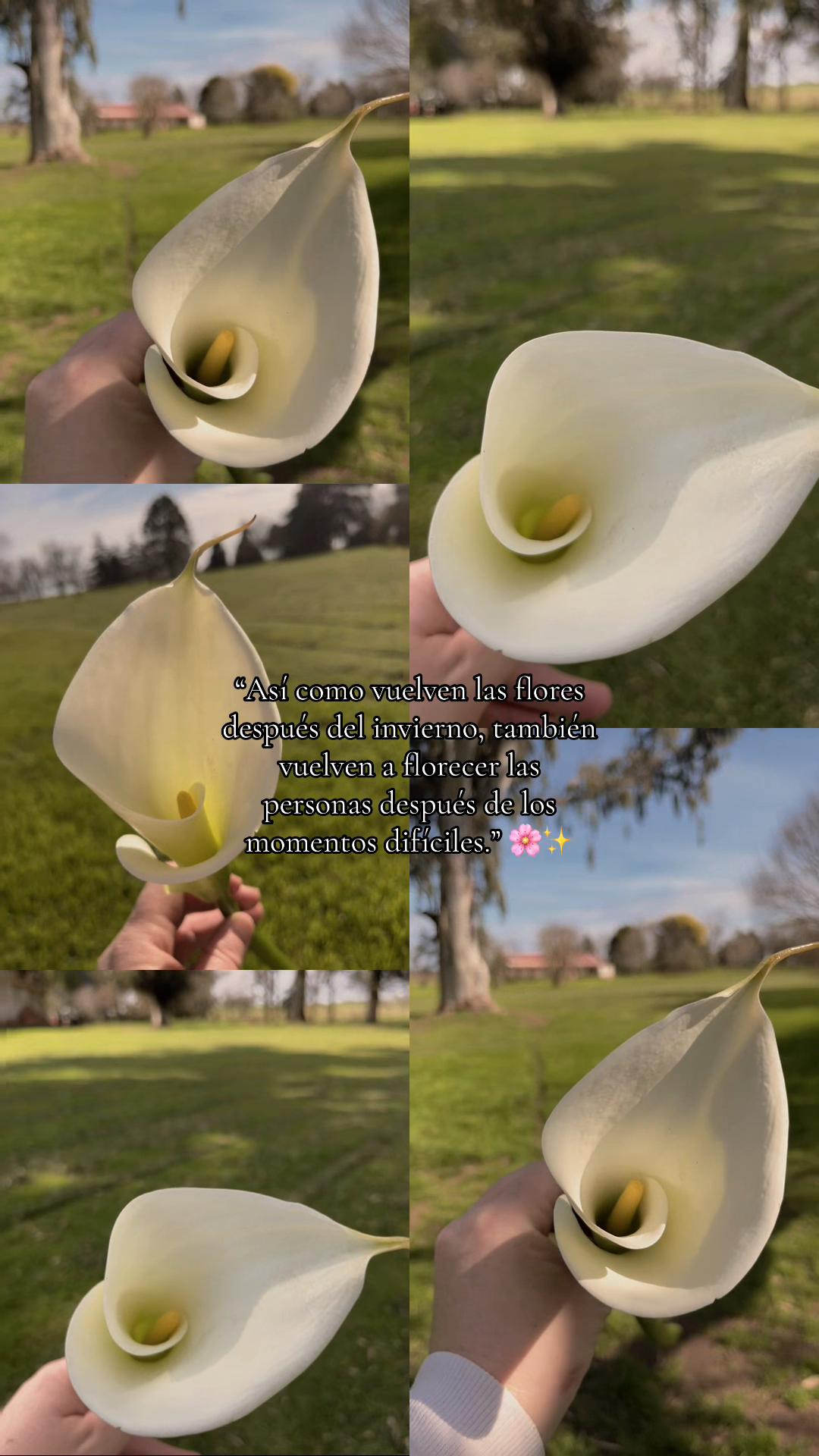 @Vicky🦋
