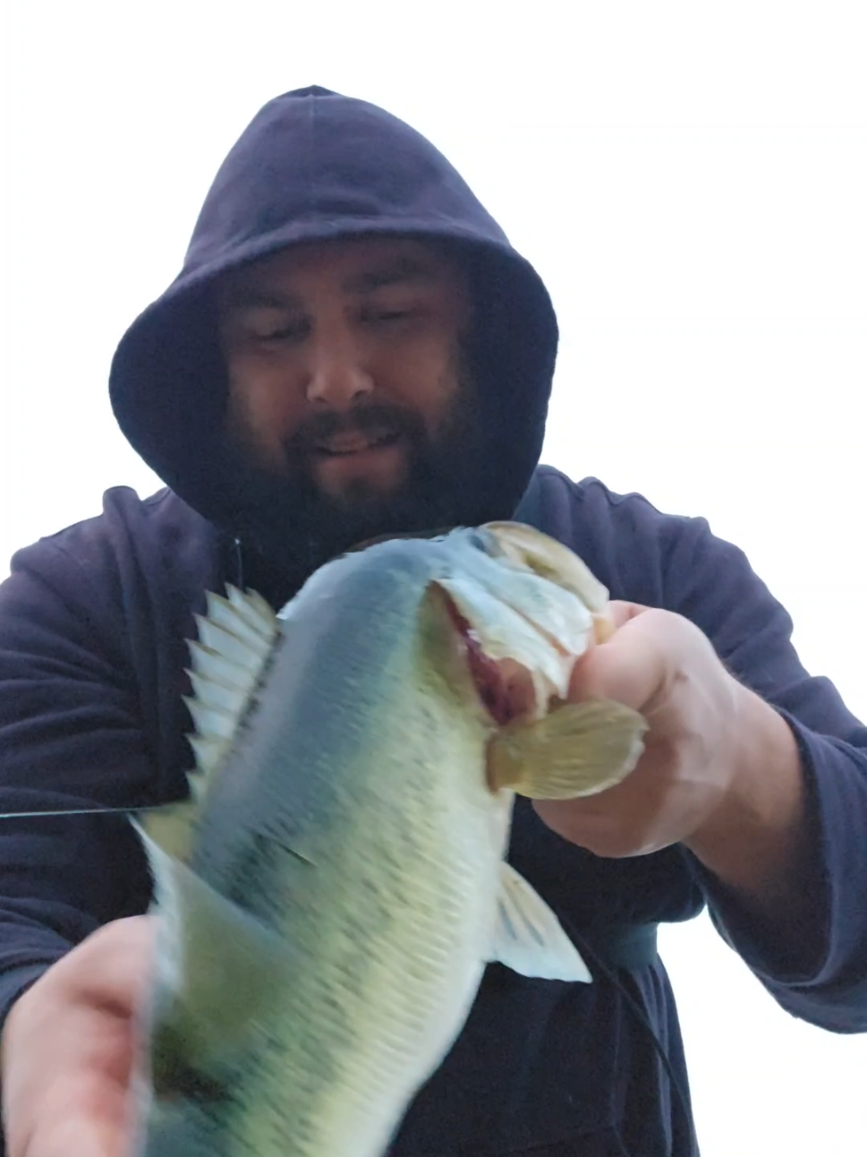 @SacPig Bait Co.