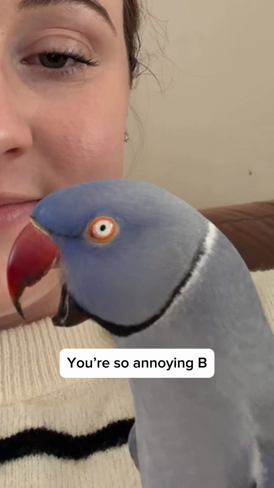@Bridget Chant