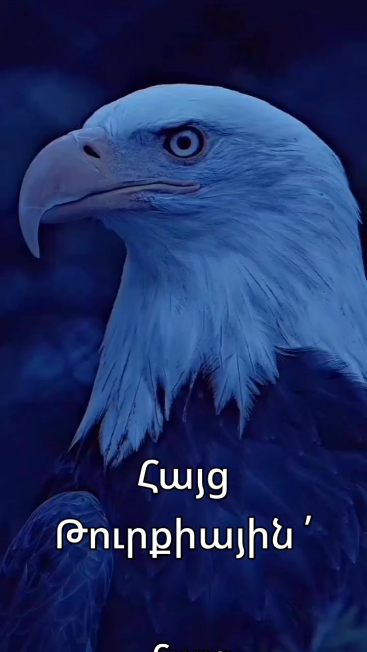 @Артур