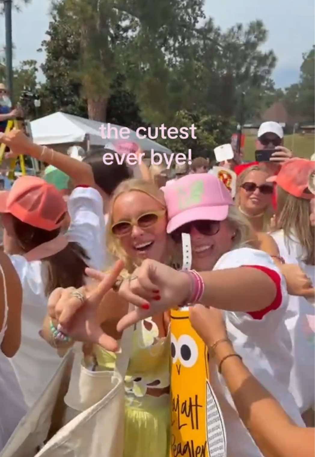 @cat.curatedd