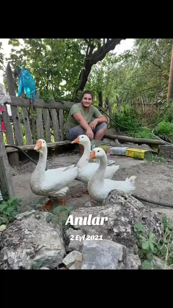 @Raşit