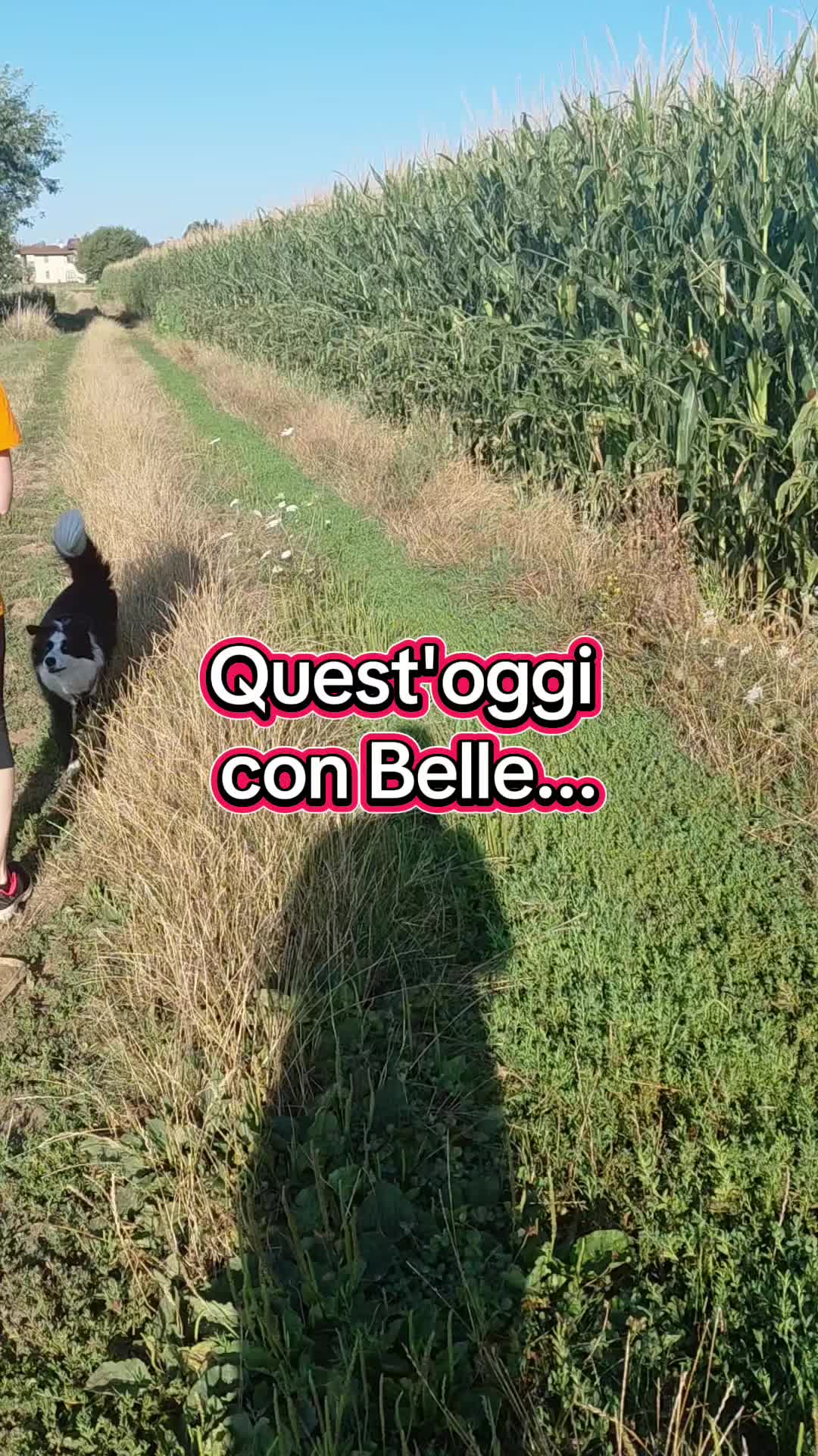 @Benjitoitaliano20
