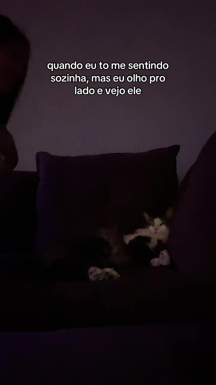 @ellen 💯 ganzarolli