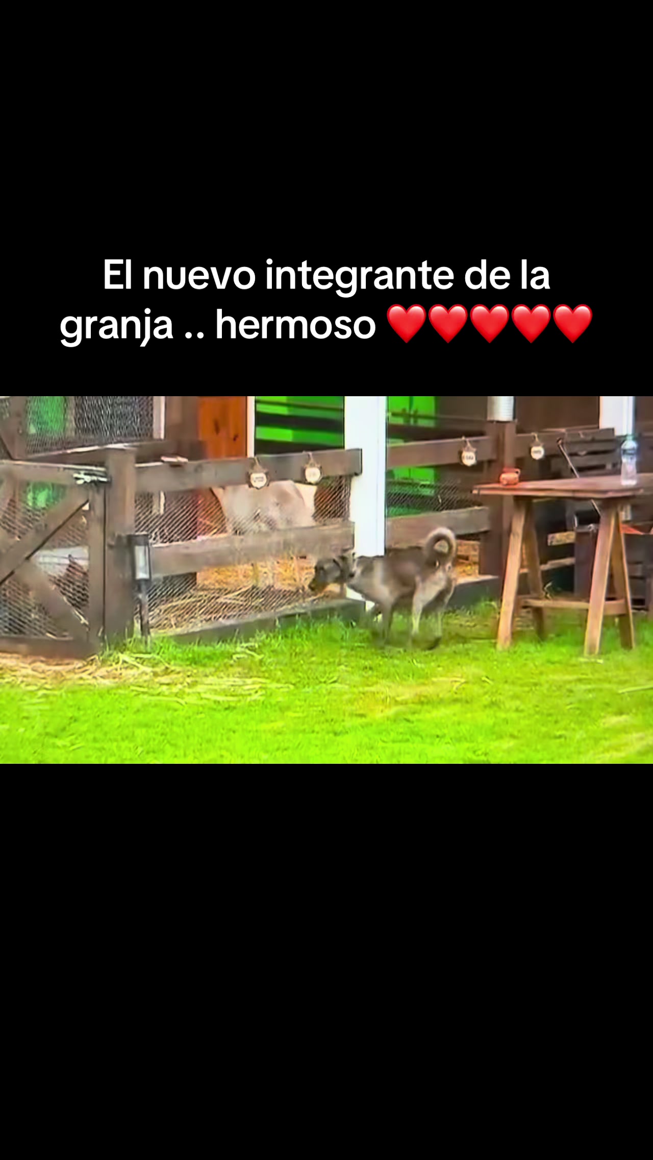 @lacasadanny2026
