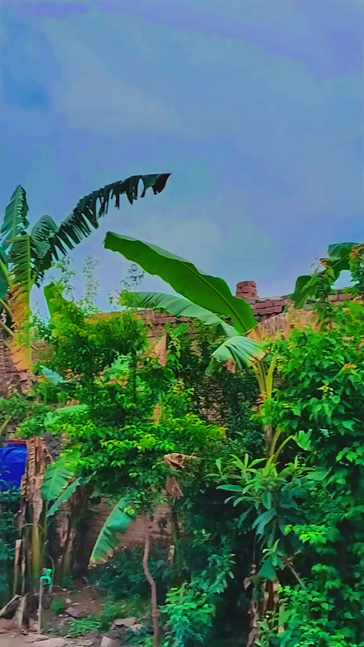 @🦋⍣⃝🇦𝐌𝐉𝐀⍣⃝ 𝐃🕊