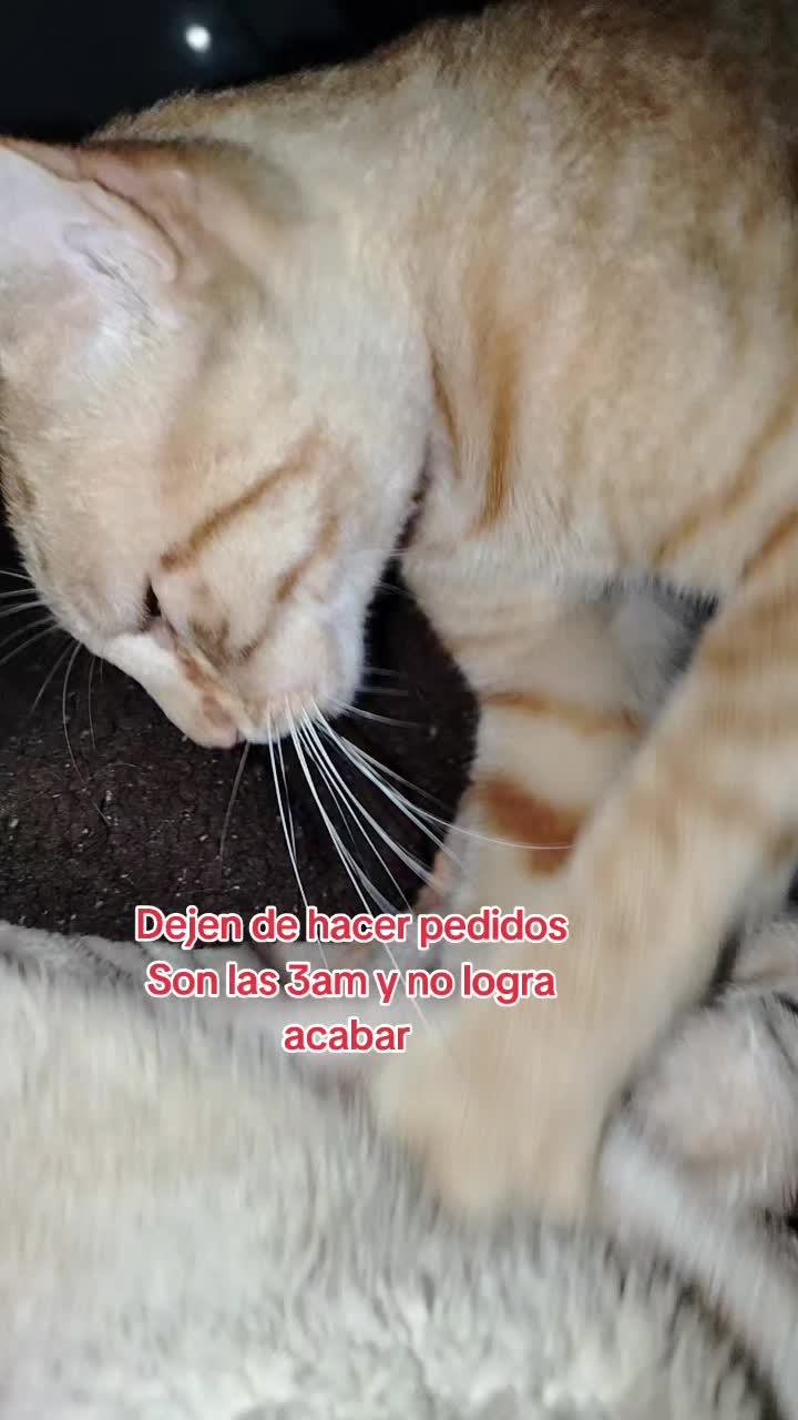 @UrHiel Sosa 🌈