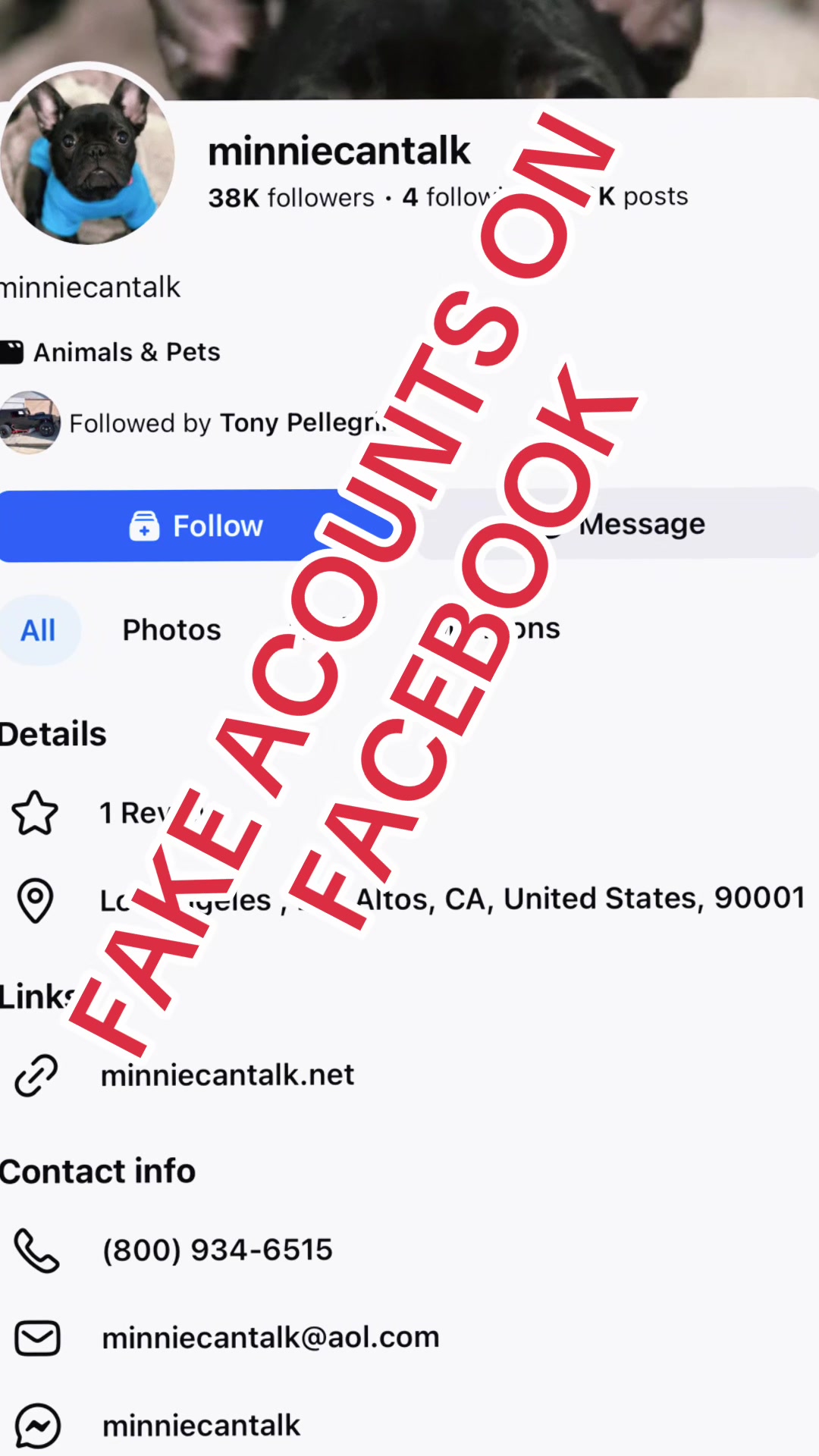 @minniecantalk