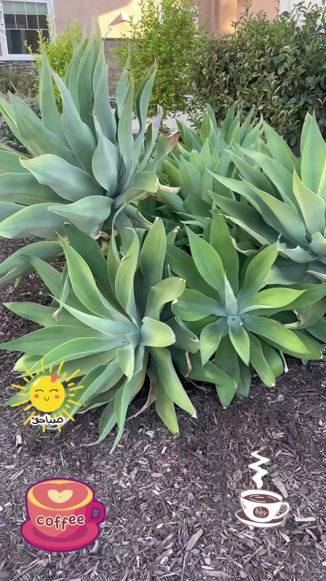 @Deina بنت الرب