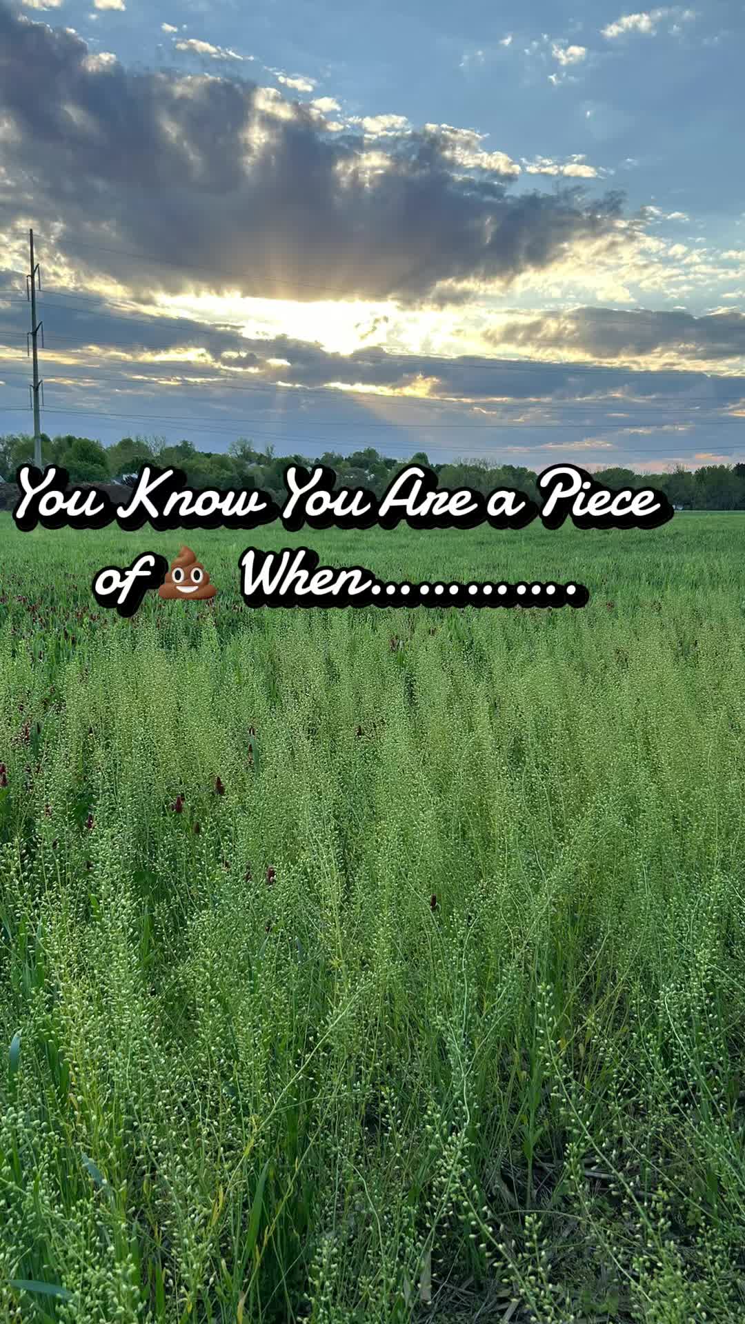 @You Know you are a piece of 💩