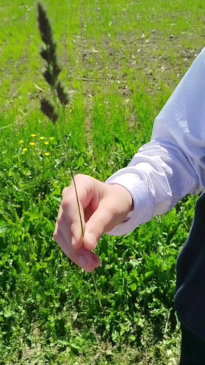 @UTC|Альфис настоящая (не фейк)