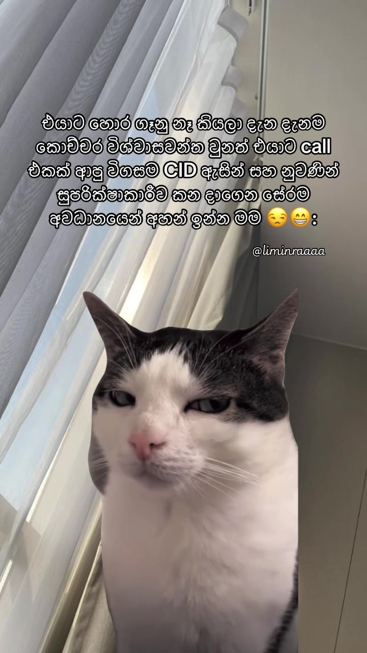 @Lisumi Jayawardana