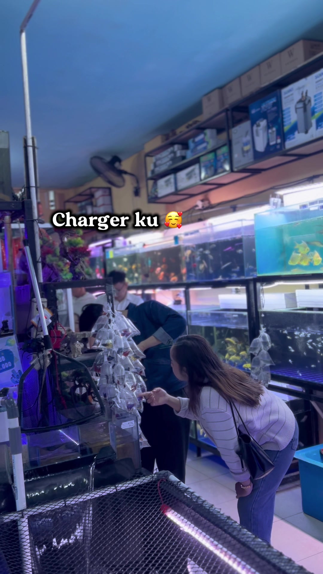 @Aquatic Garage Bekasi