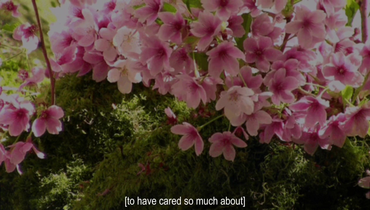 @daughter from hell