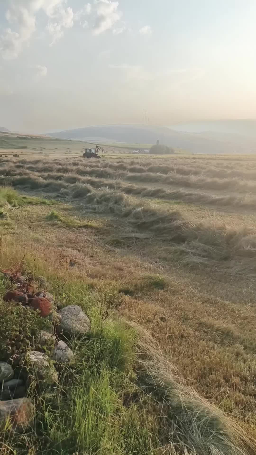 @Göksal Güneş
