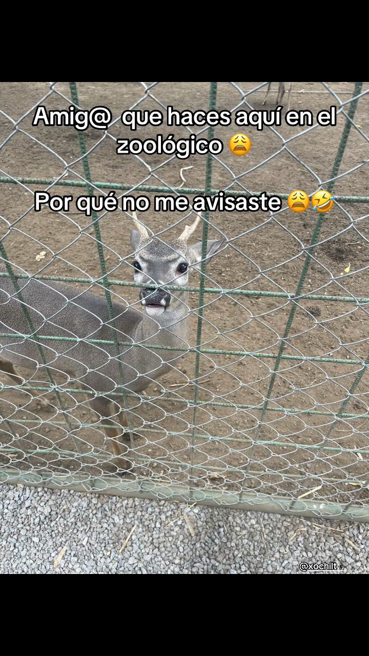 @Karen💋