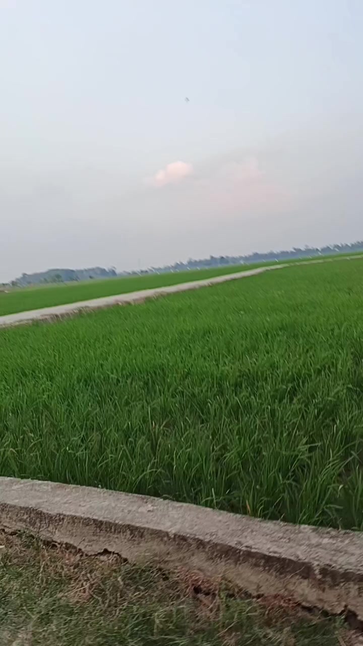 @Hadiolshop