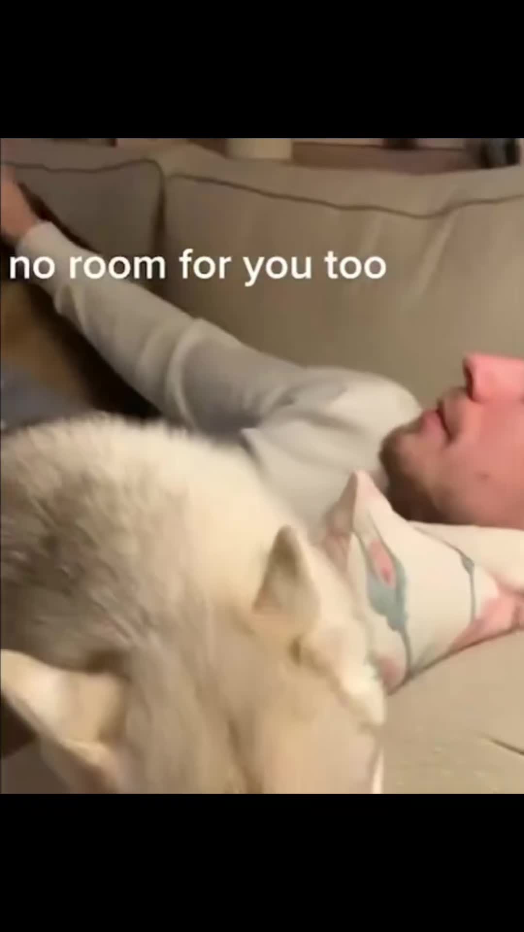 @wild_animal123