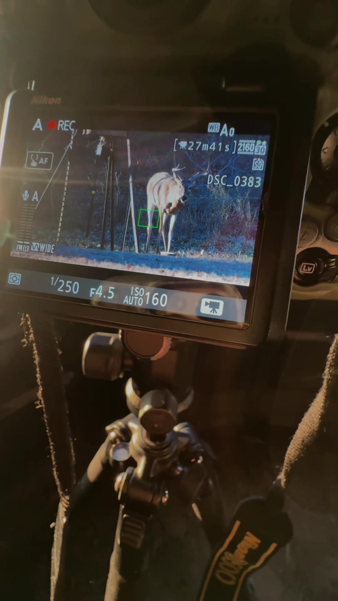 @ɴɪɴᴀ ᴏᴜᴛᴅᴏᴏʀꜱ 🌾🦌🏹