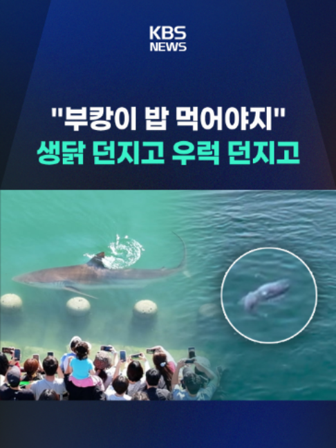 @KBSNEWS
