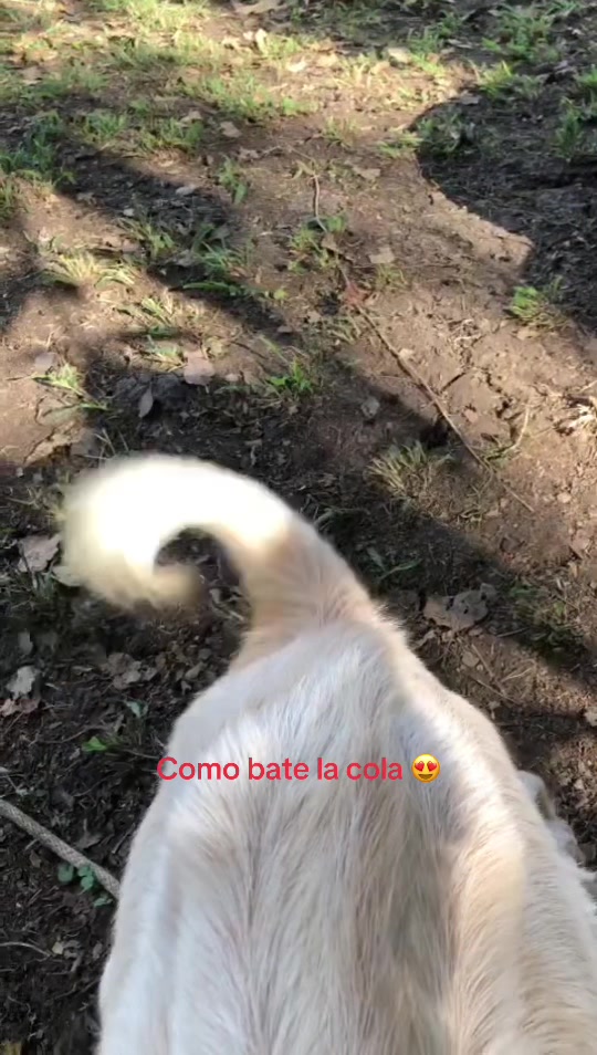 @viajerajenny
