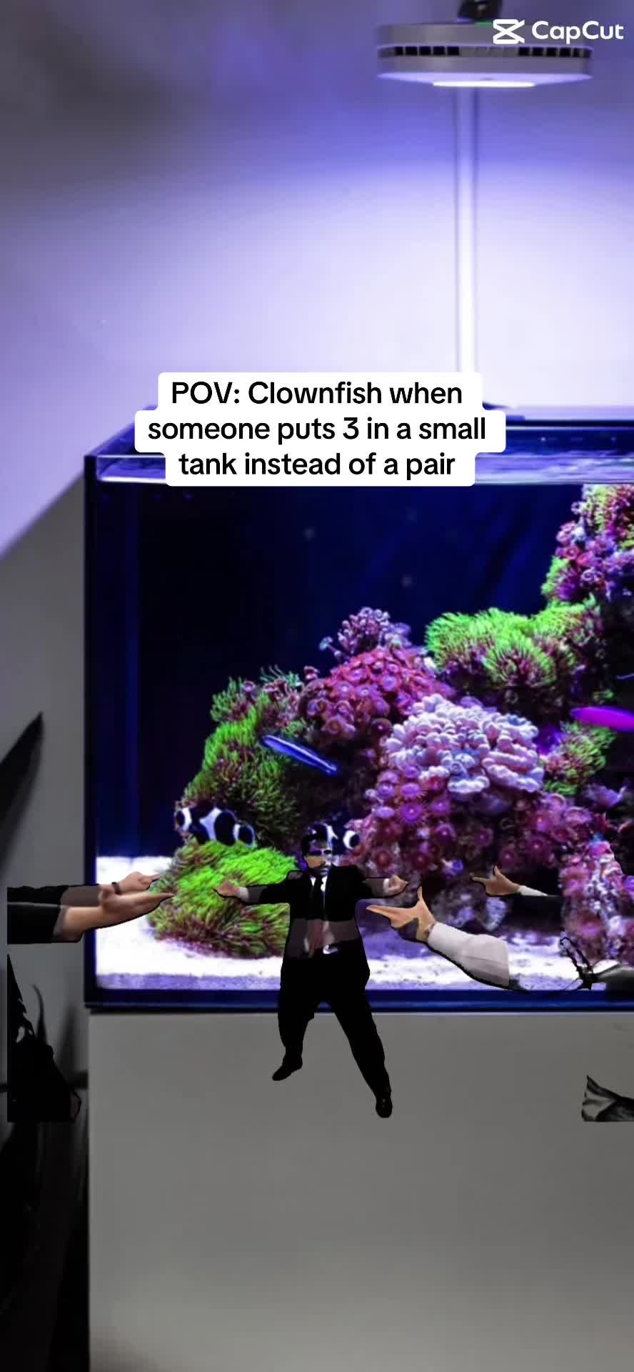 @ReefTok