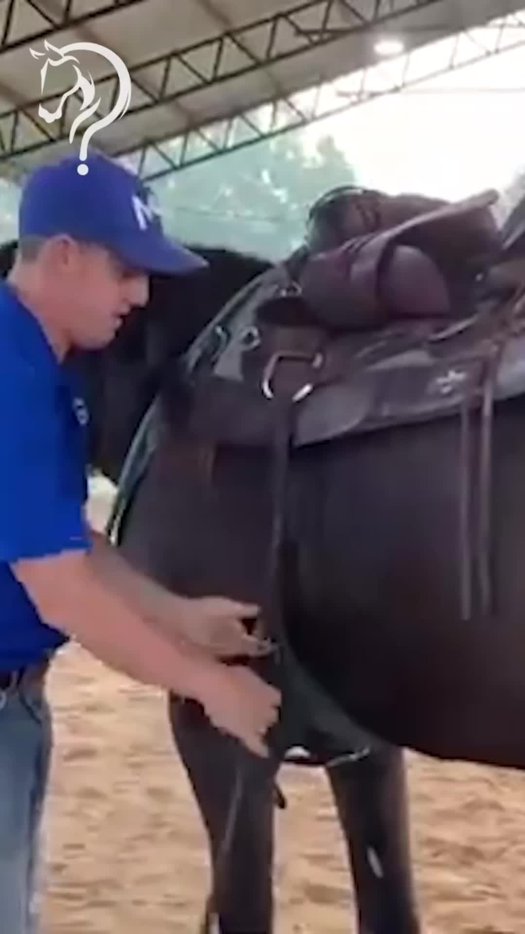 @Horse Help