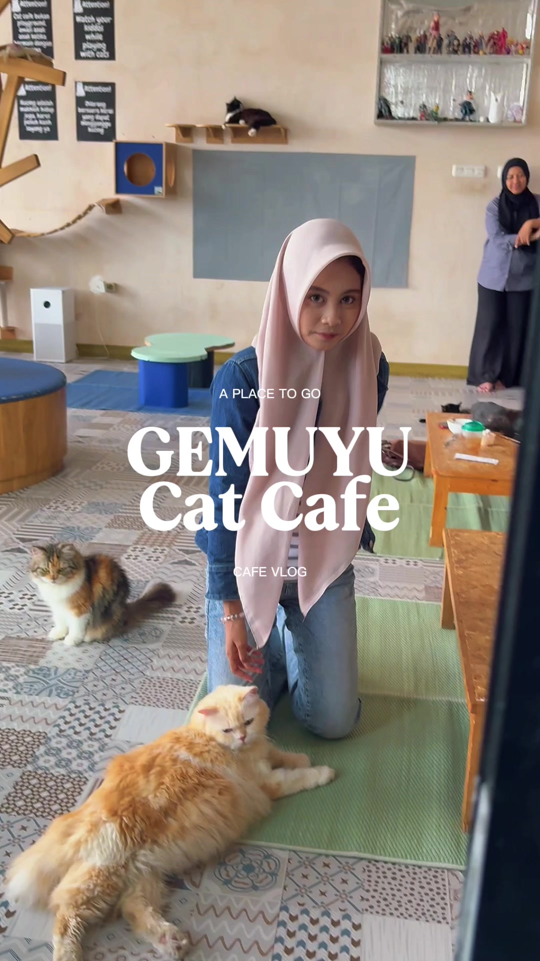 @Cafe Kucing Gemuyu
