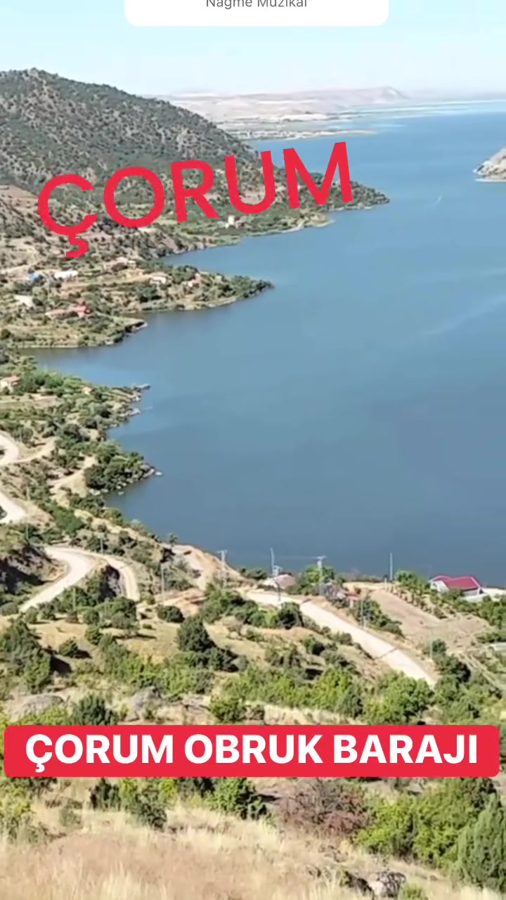 @Avrupadaki_Corumlular_19