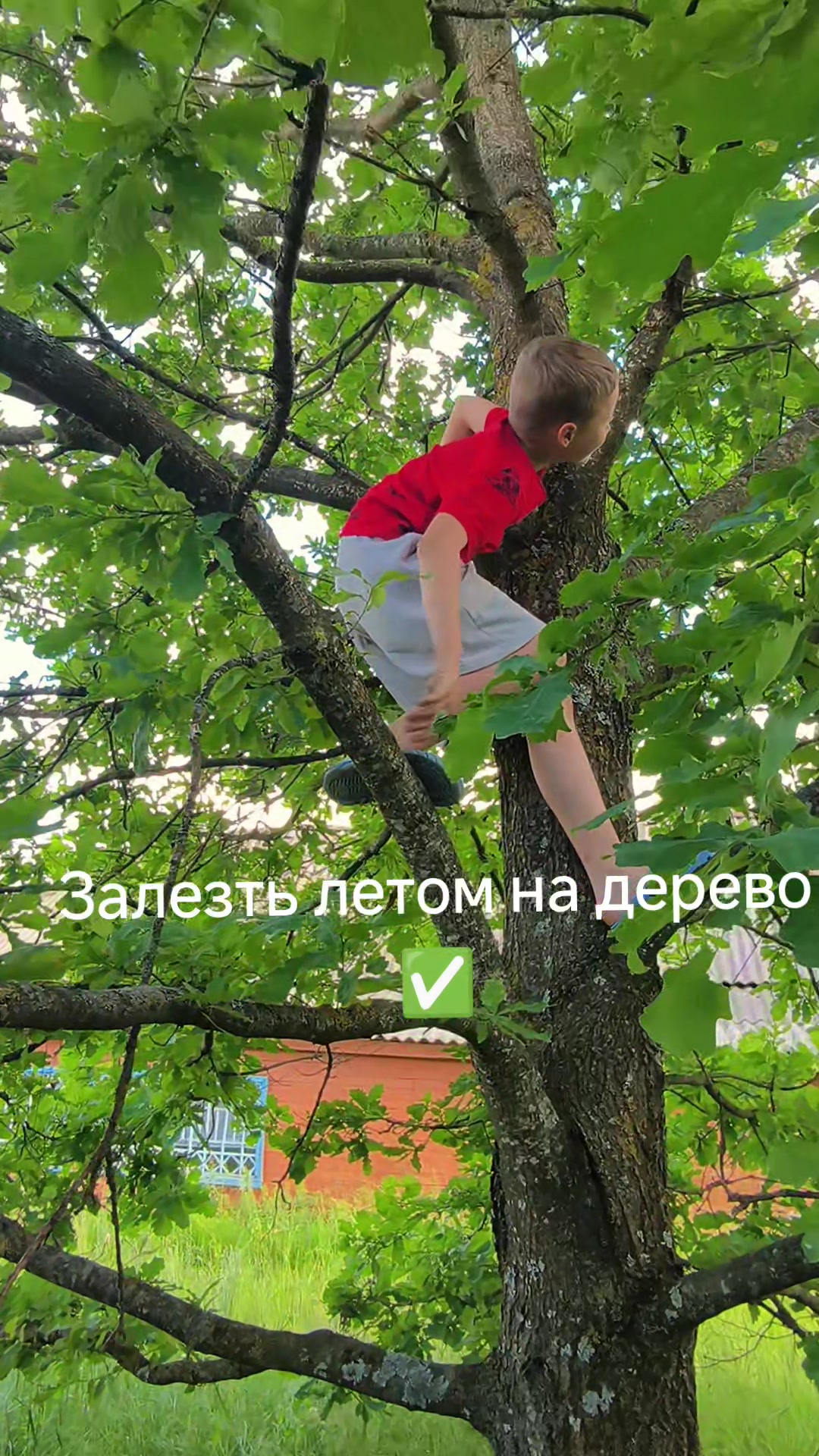 @Анастасия Буглак