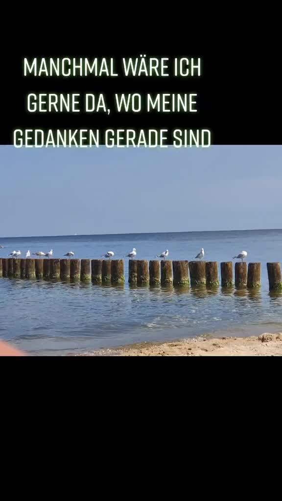 @⚓️Steinchen⚓️
