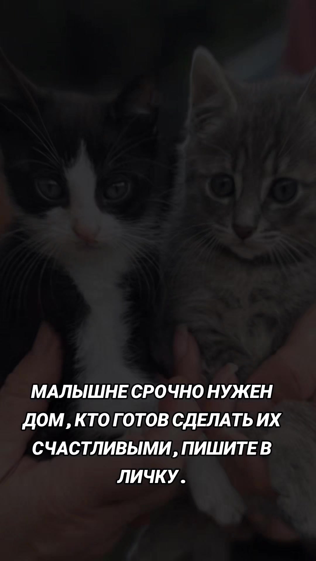 @marinka20_09