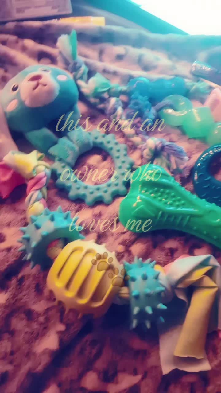 @&deg;ᶻ 𝗓 𐰁‧˚꒰🐾꒱༘⋆