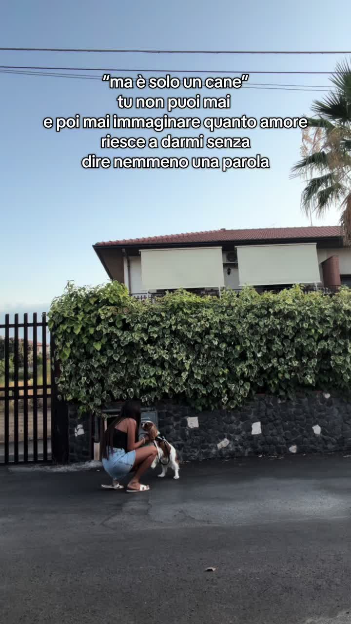 @ilariavetrano