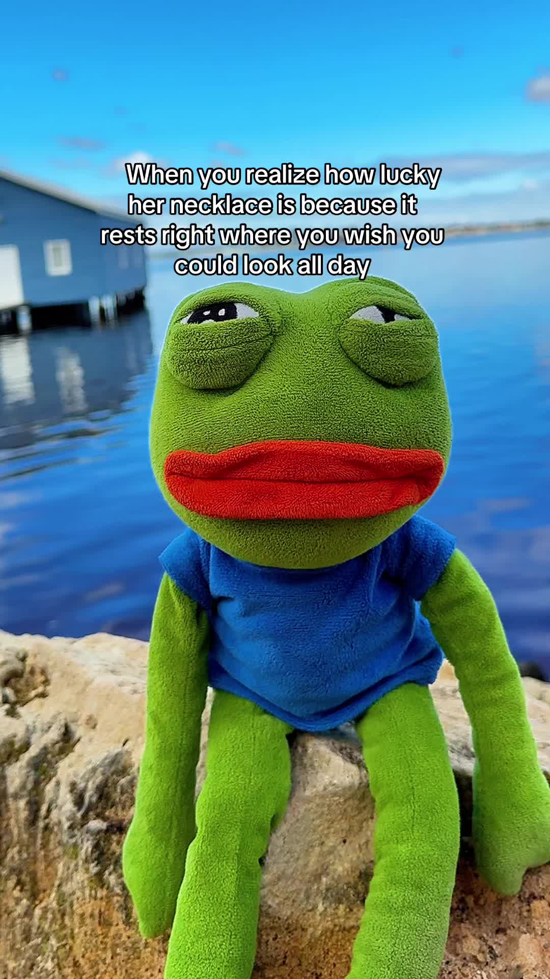 @AdoptAPepe