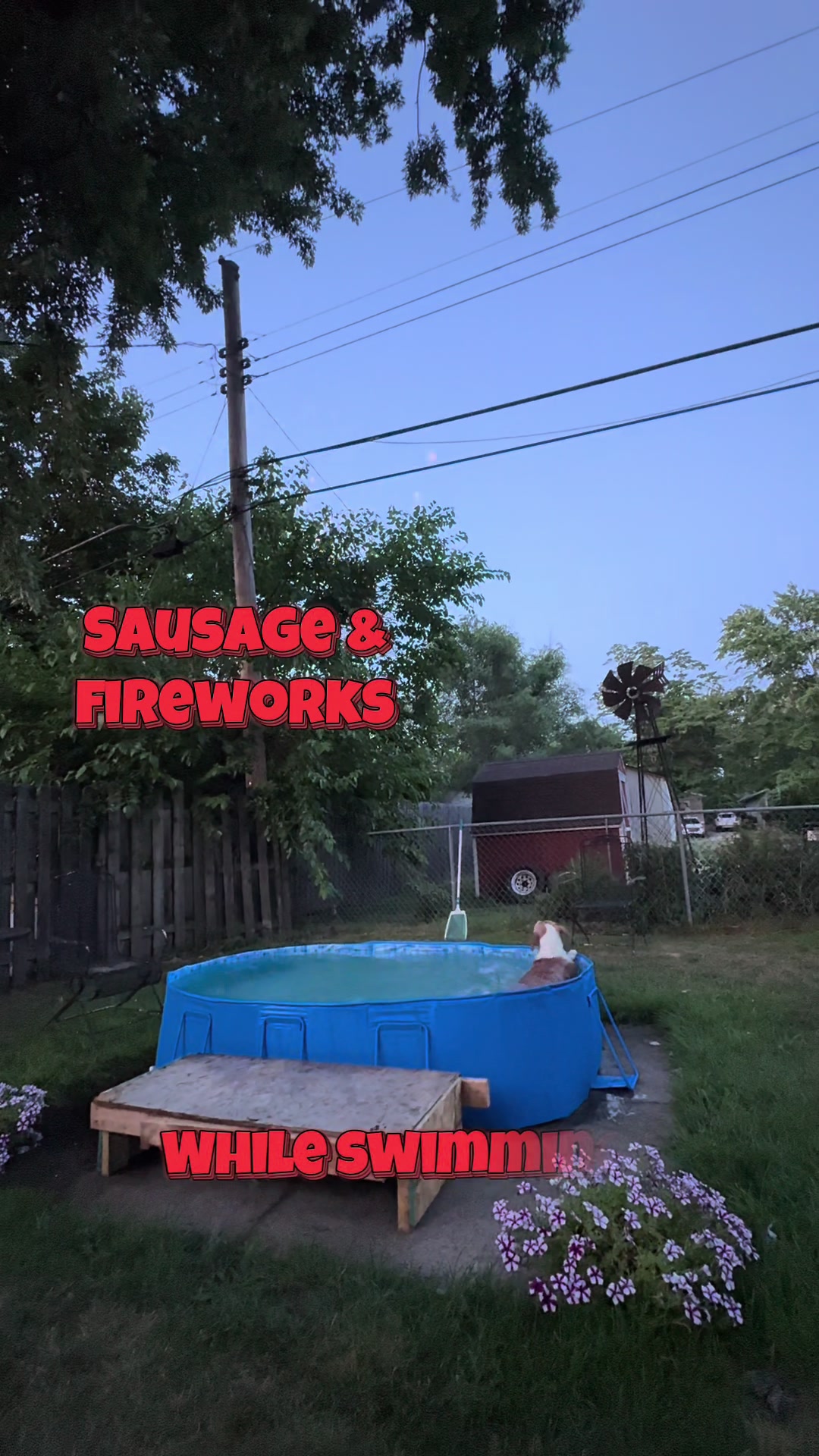 @You Me & The Dogs