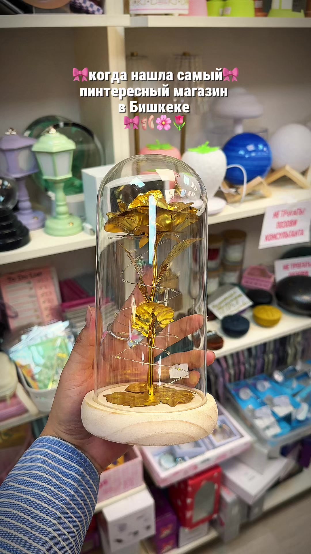 @kiwi.shop