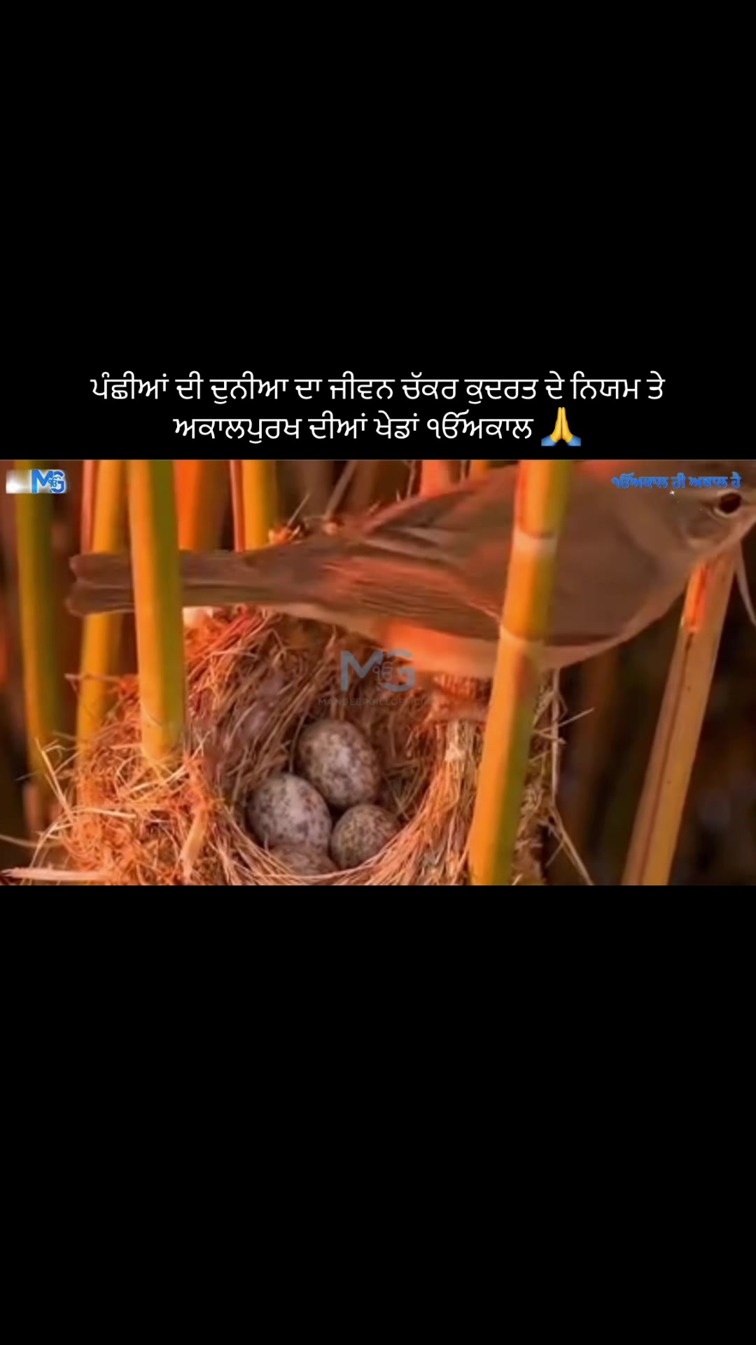 @Mandeep Singh Gill
