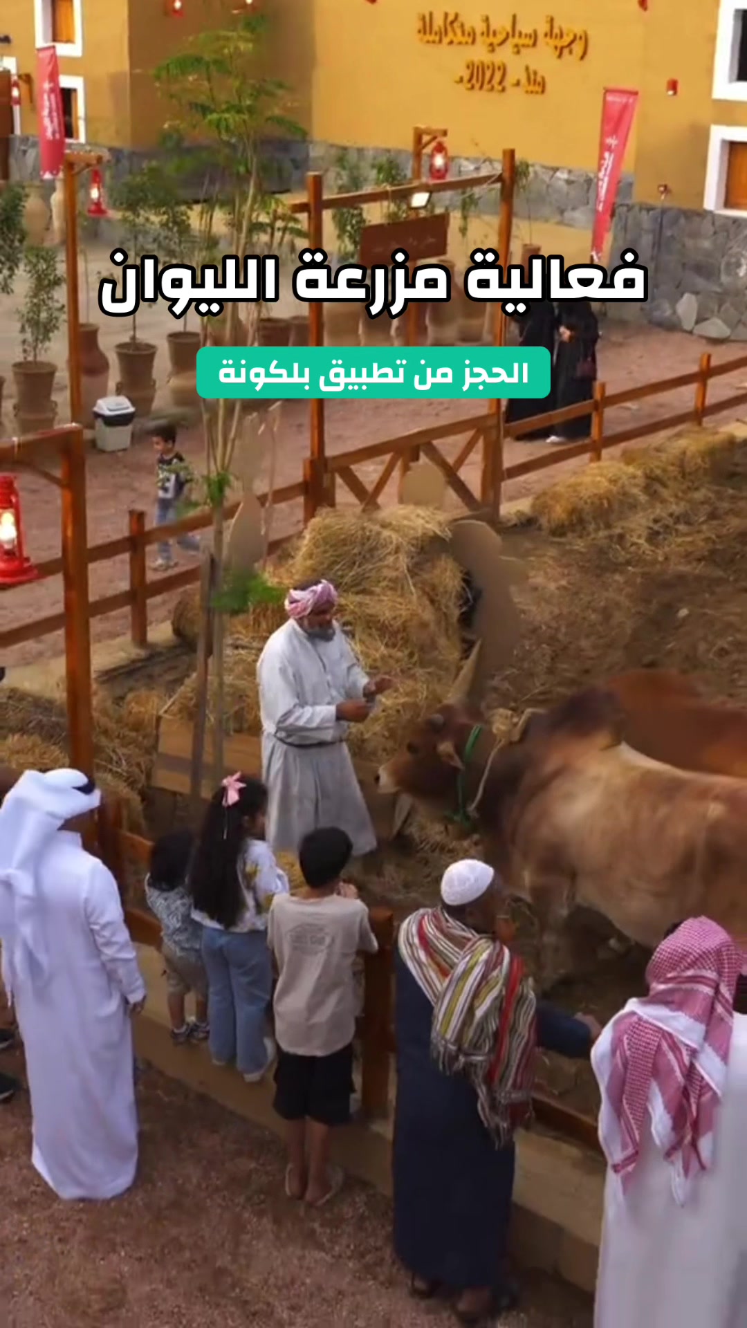@محمد ال دواس - عسير