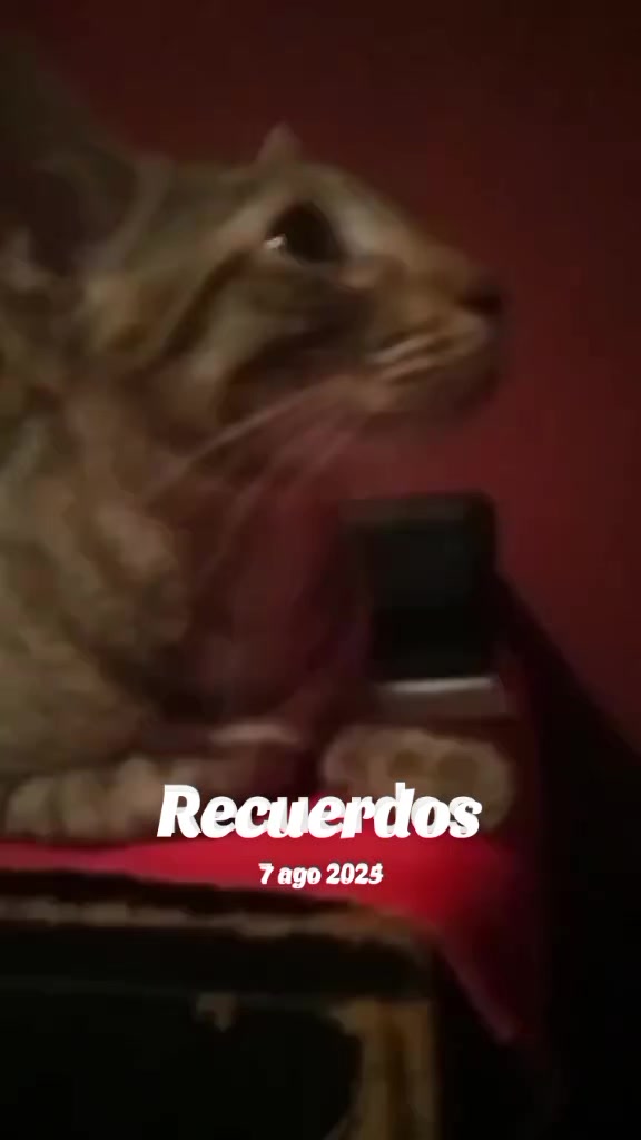 @soulcrues