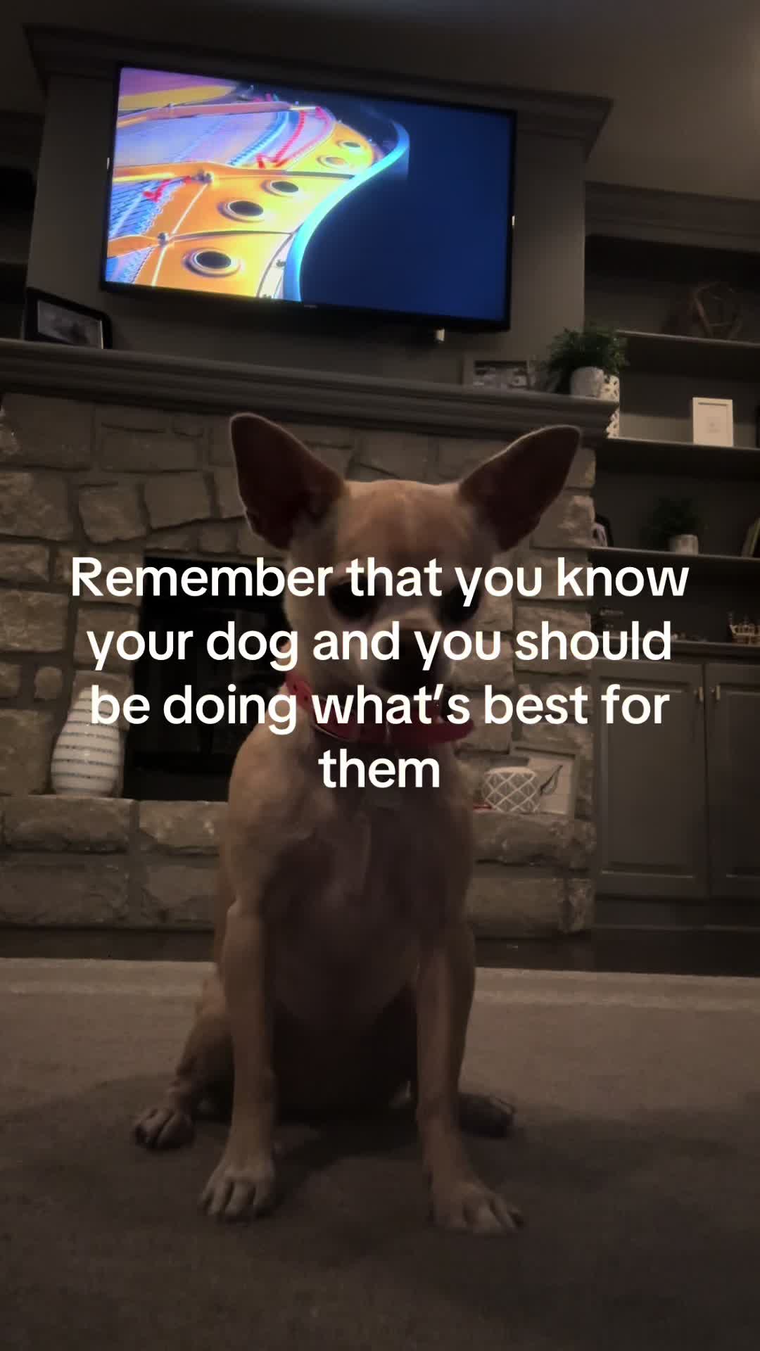 @Gidget/WagWild