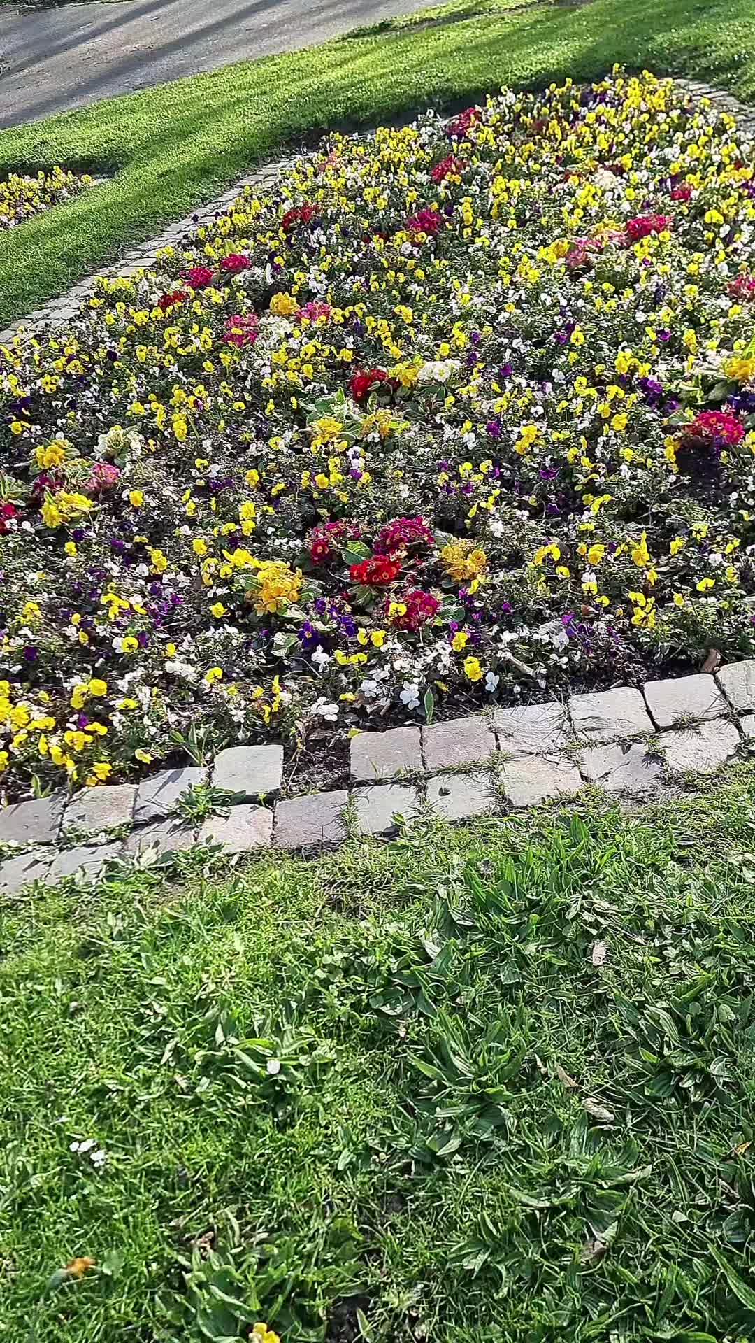 @rahaf🌺🦋💐