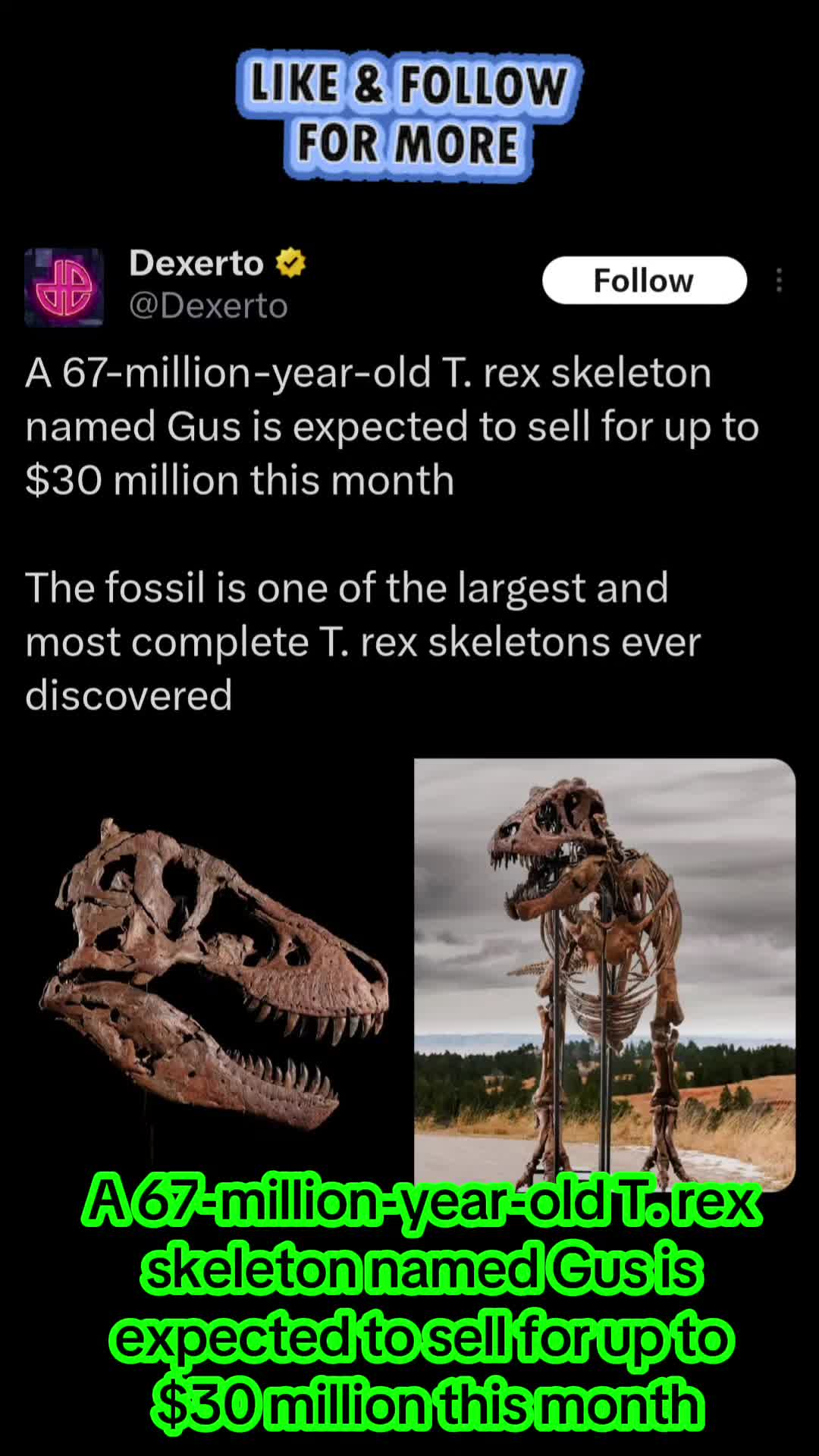 @Skyzilla98