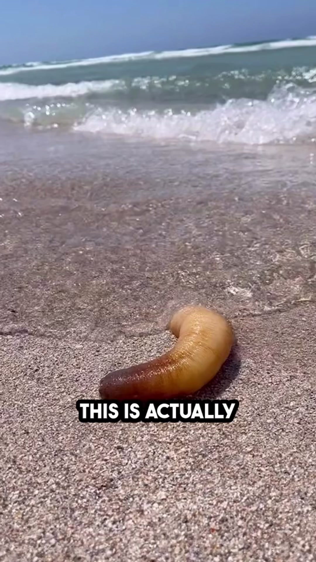 @Foodporn
