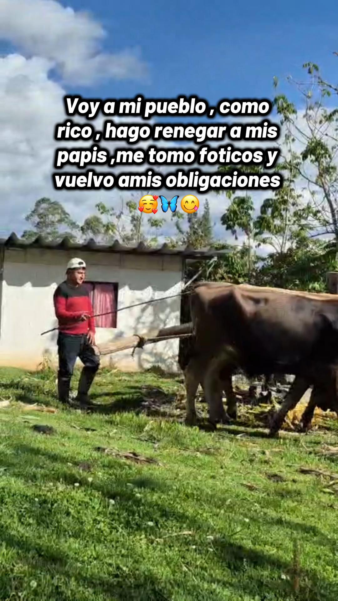 @ShirrrVela💗