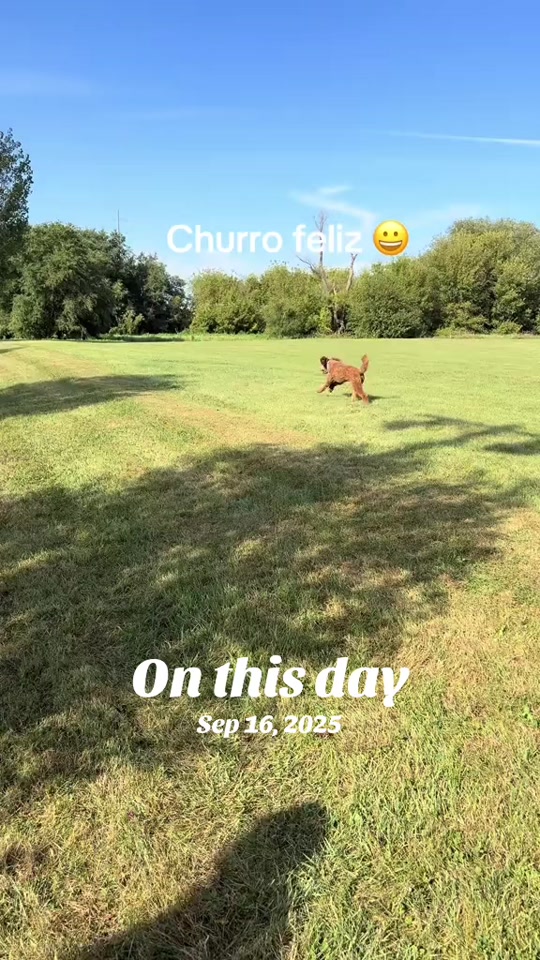 @Reyna y Churro 🐶😍